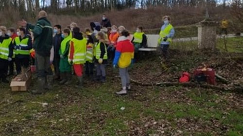 Plantations au petit bois par les éleves de l'école de la Tour